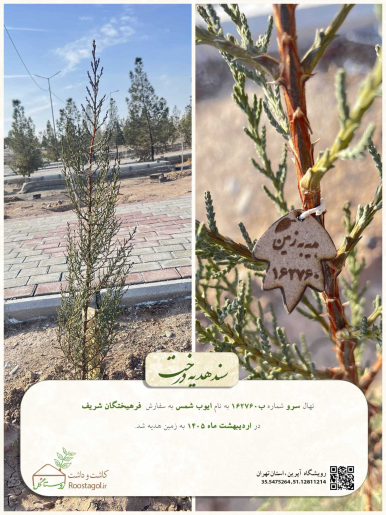 کاشت درخت از طرف نرم افزارهای انتخاب رشته و مشاوره تحصیلی فرهیختگان شریف به نام کاربران دیرینه