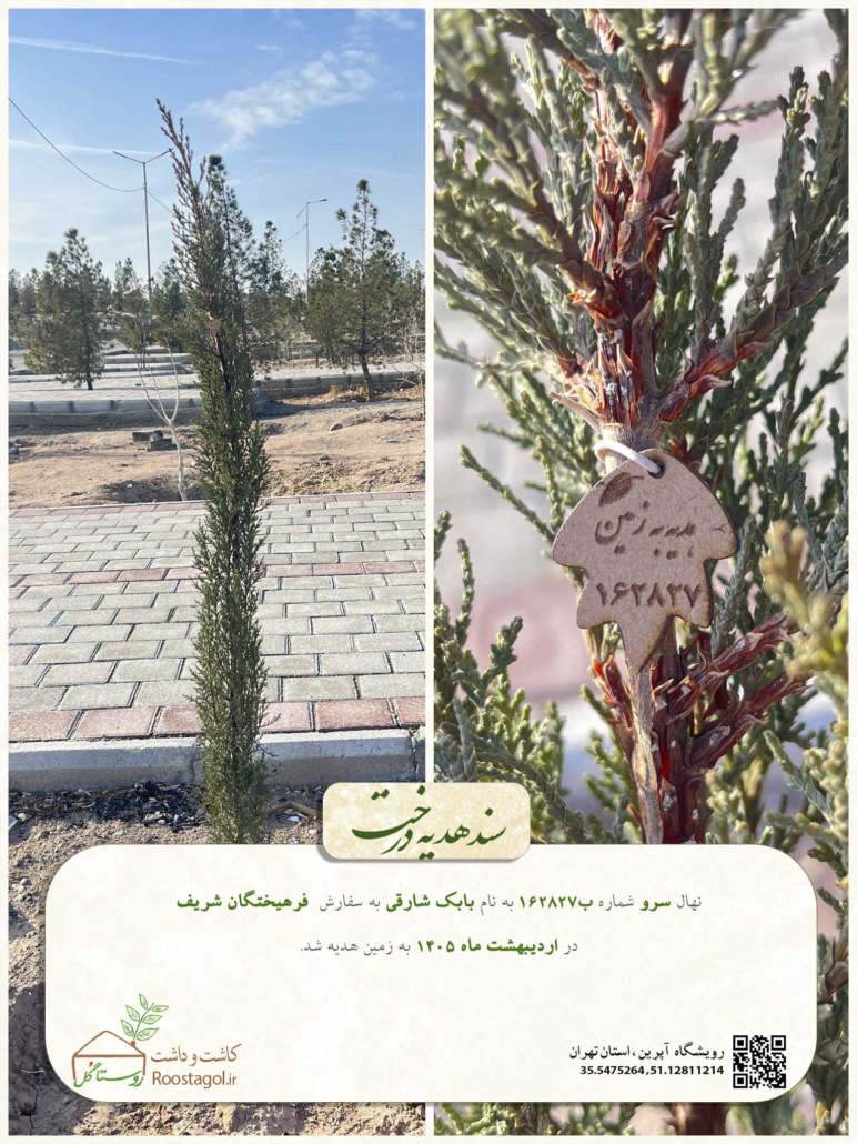 کاشت درخت از طرف نرم افزارهای انتخاب رشته و مشاوره تحصیلی فرهیختگان شریف به نام کاربران دیرینه- جناب آقای شارقی
