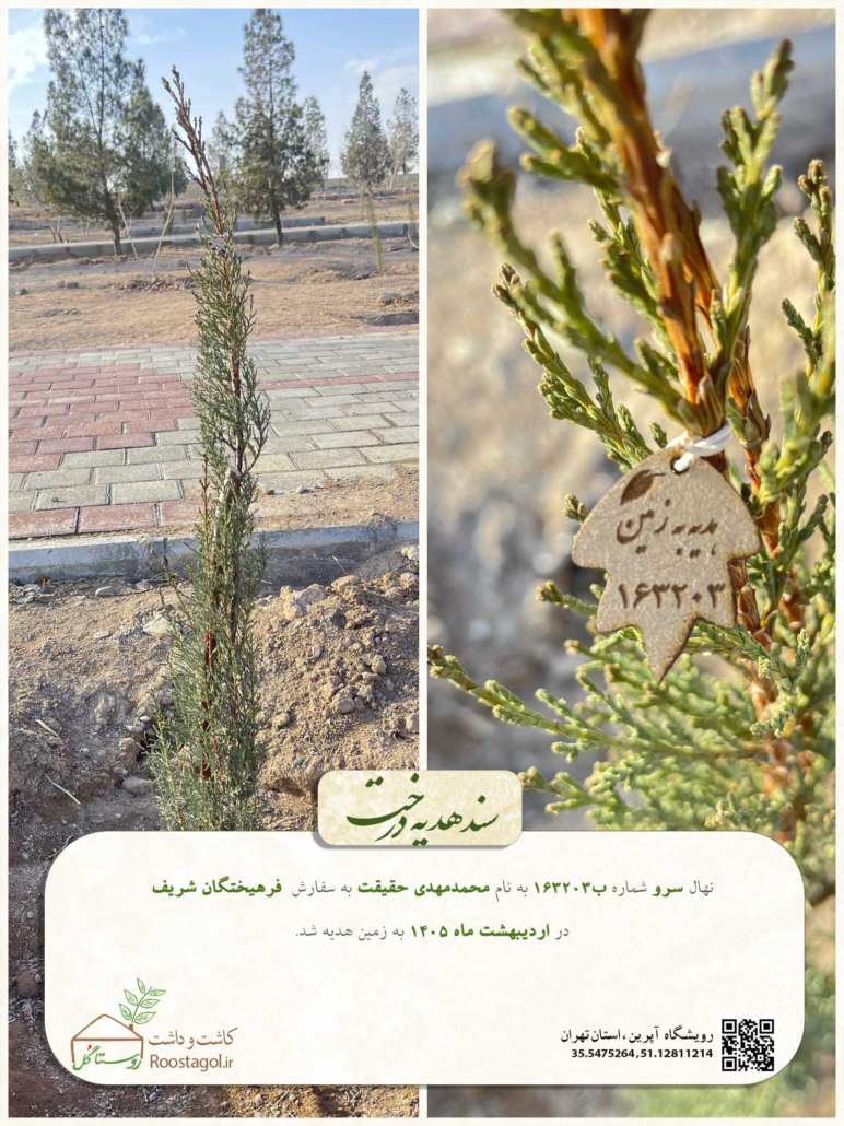 کاشت درخت از طرف نرم افزارهای انتخاب رشته فرهیختگان شریف به نام کاربران دیرینه - جناب آقای محمد مهدی حقیقت